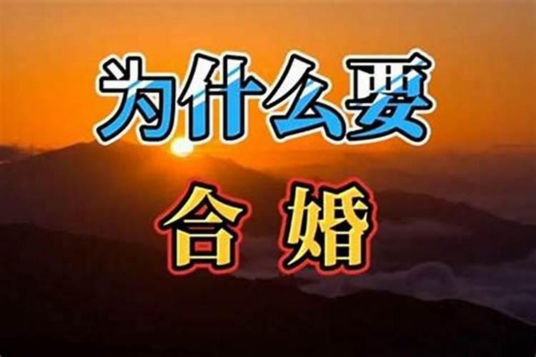 八字合婚全屏怎么样？