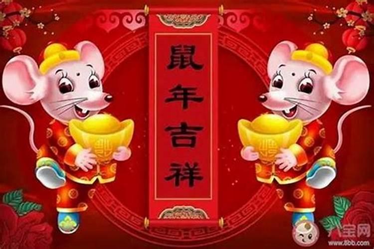 84年鼠是什么命？