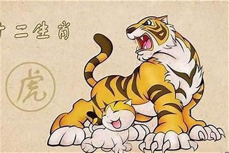 属虎犯太岁注意什么属性呢？