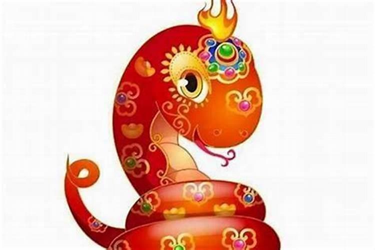 童子命属蛇适合干什么？