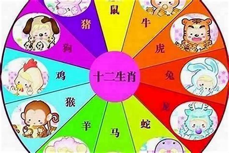 八字不合两地分是什么肖？