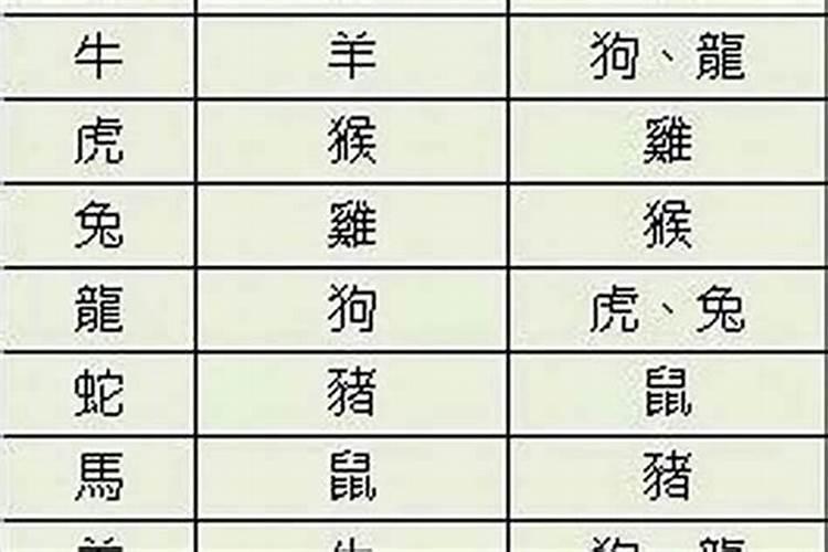 属相婚配马和属相牛配吗？