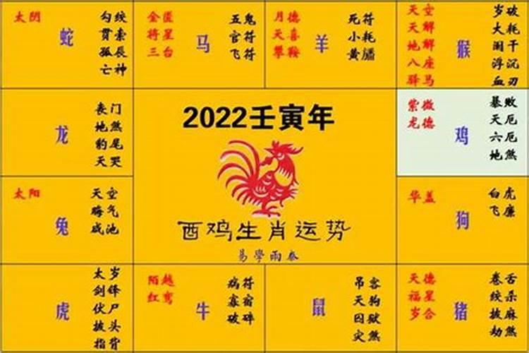 宋绍光生肖运势2025年运程