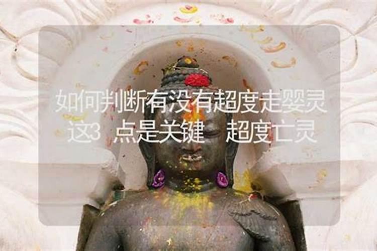 有没有超度婴灵的？