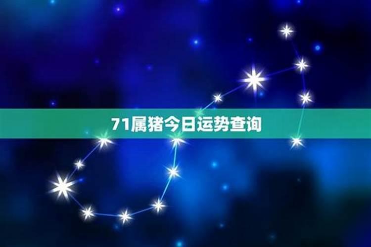 71一2025运势如何？