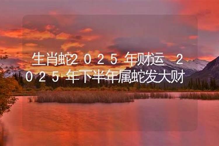 2025年肖蛇下半年运势