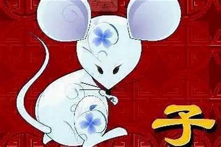 属狗的和属鼠什么时候合婚？