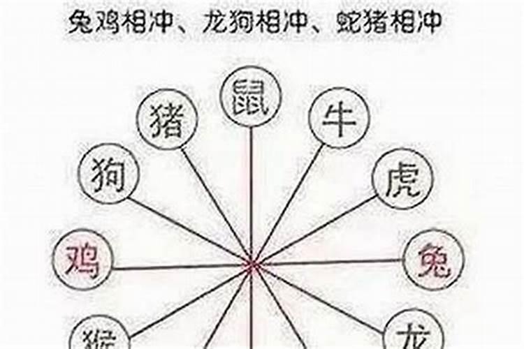 84年男属鼠2025年运程