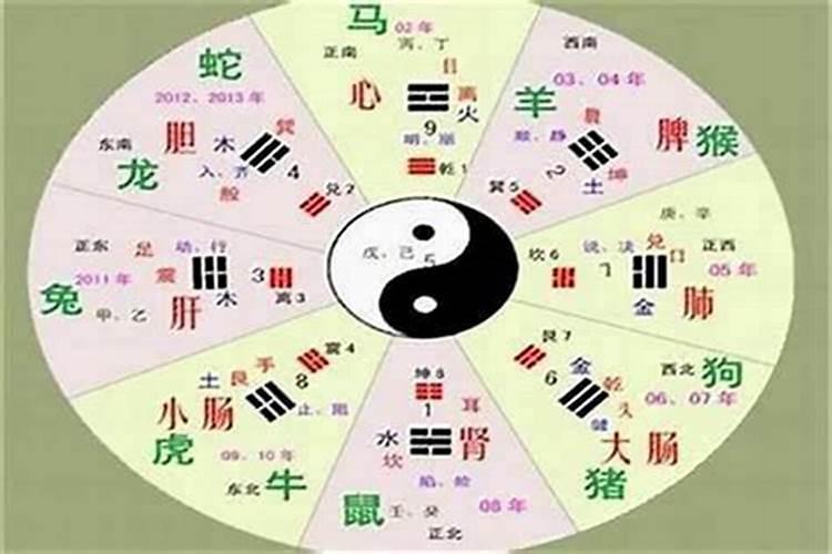 怎样识别人的五行？