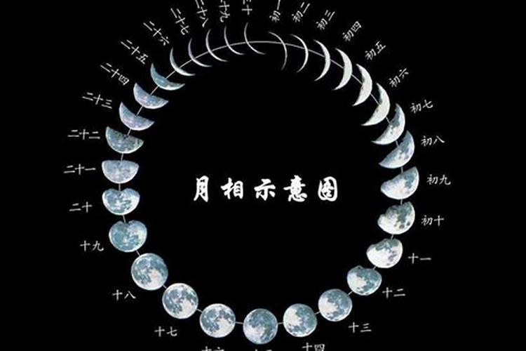 阴历正月初一几号？