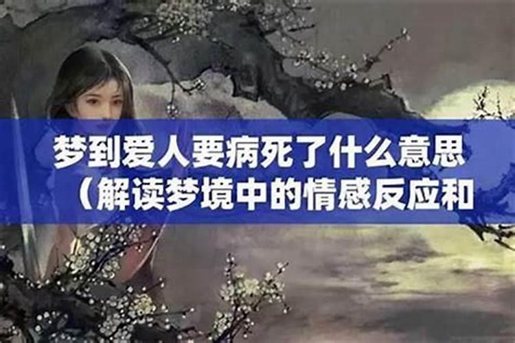 梦见表妹啥意思周公解梦？