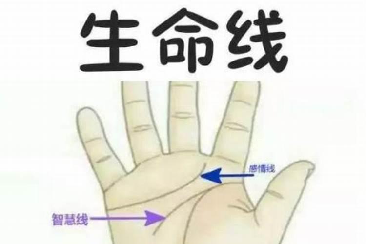 哪个是生命线？