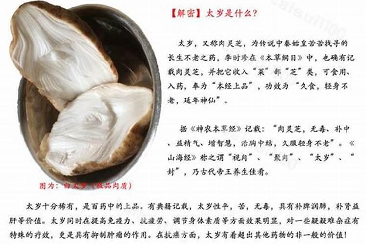 请问太岁是什么东西？