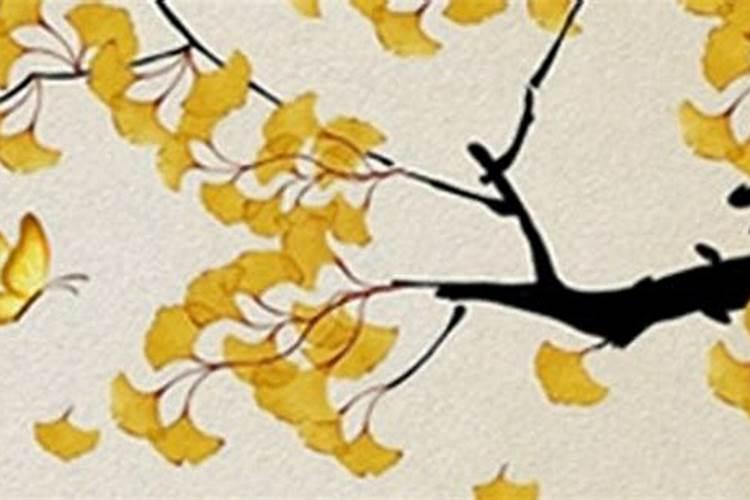 童子命化解和不化解的区别