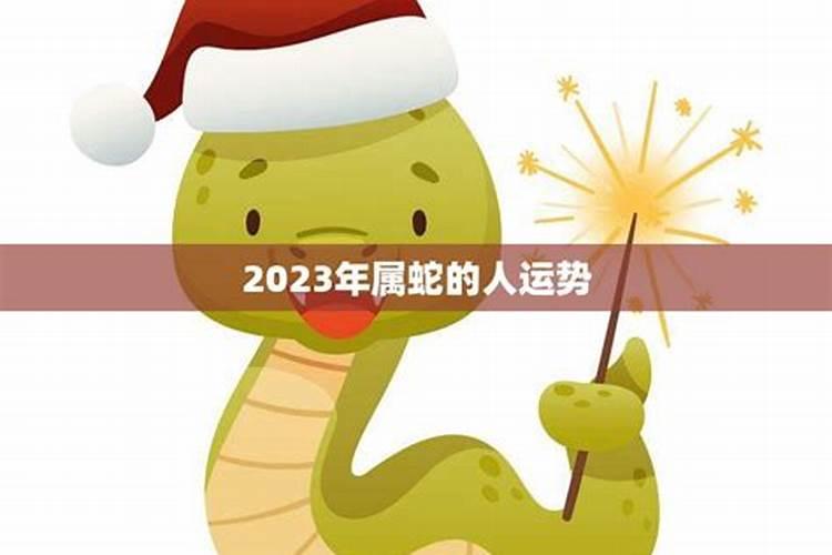 65年出生的蛇女2025年的运势
