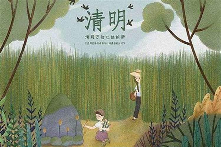 今年的清明小小满是哪一天？