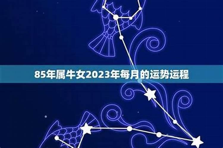 85年出生今年的运程