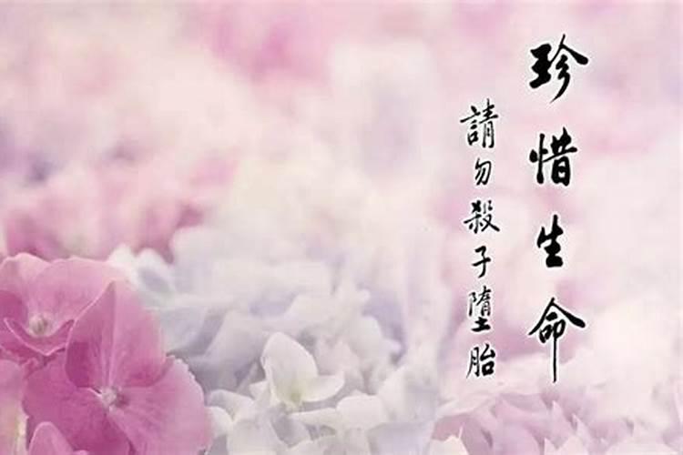 堕胎婴灵的呼唤台湾版