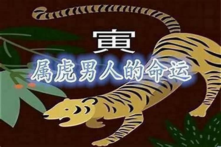 6月属虎运程如何？
