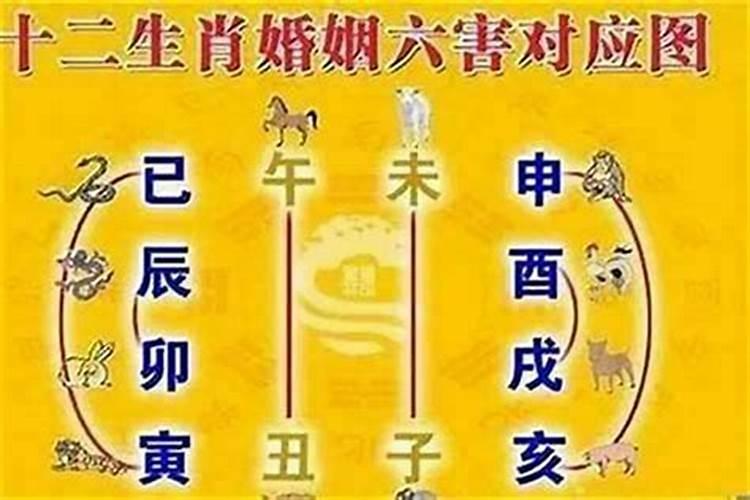 属相婚配有哪些禁？