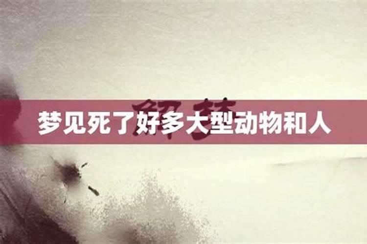 梦见动物死了好多血？