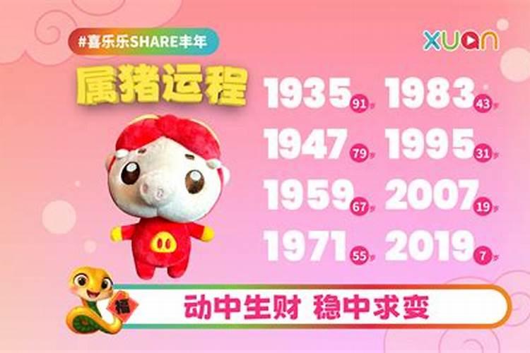 属猪的2025年运势
