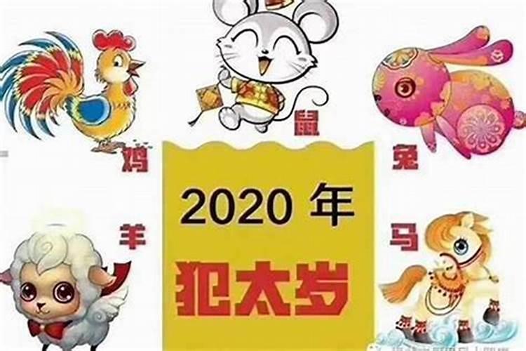 鼠年犯太岁该怎么办？