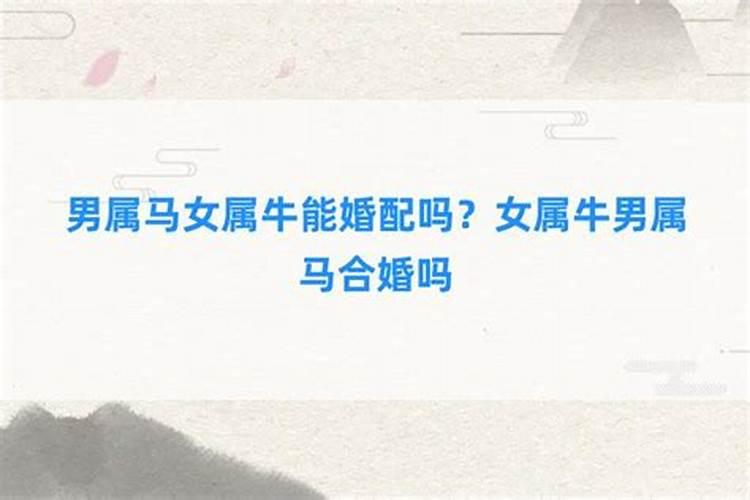 男马和女牛合婚吗？