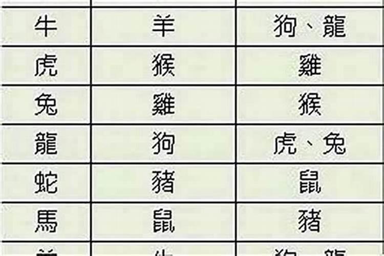 属相婚配蛇配猪好吗？