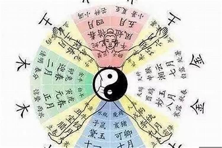 四柱八字从什么开始看？