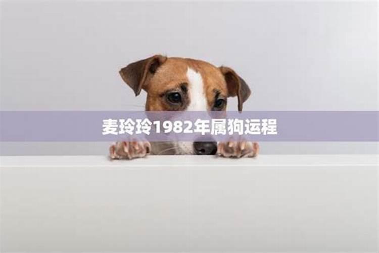 1982年3月份属狗运程如何？