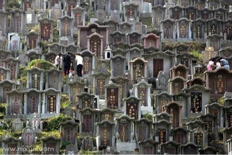 梦见墓地风景特别美什么意思？