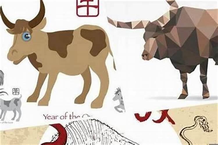 男牛女羊八字合吗？