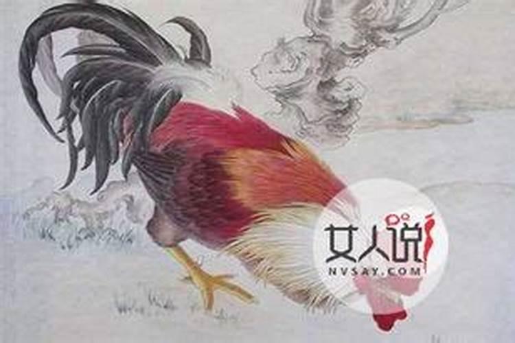 属鸡的富豪出生在几月？