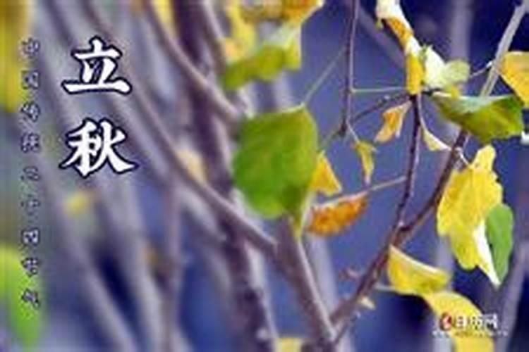 20251年啥时候立秋？