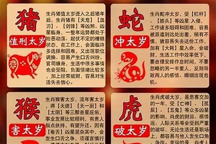 属兔哪年犯太岁了？
