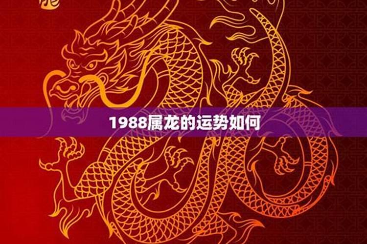 1988年8月28属龙的运势如何？