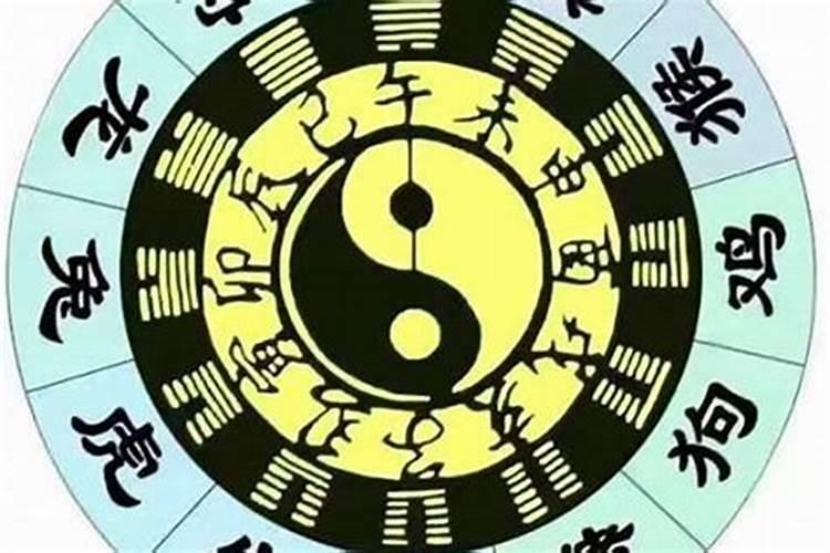 八字如何看合不合财？