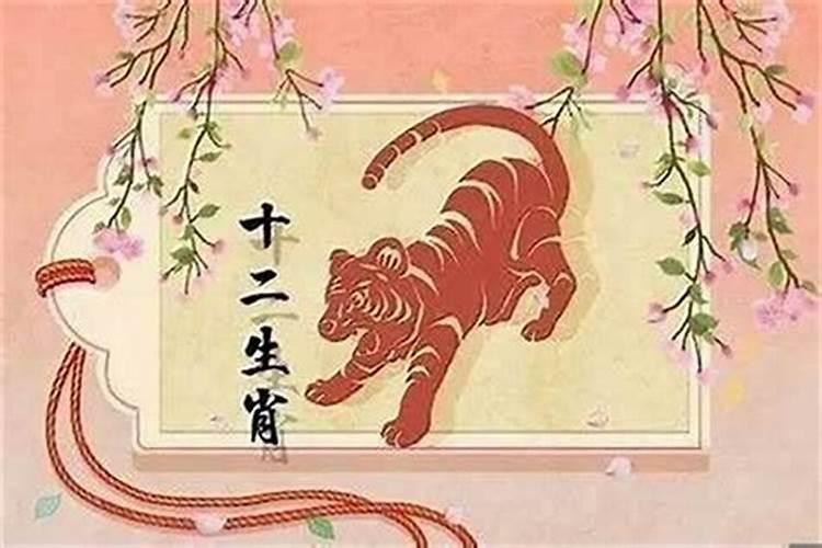 虎的本命年跟啥犯冲？