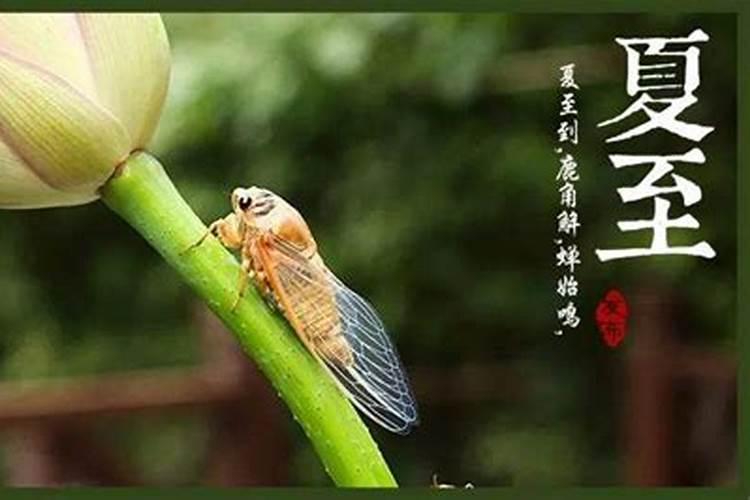 夏至日出生好吗？