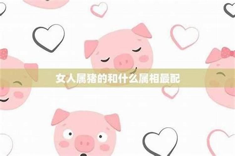 女猪婚配什么属相好？
