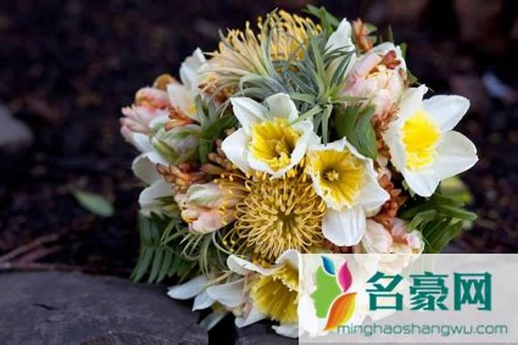 腊八祭祖坟买什么花？