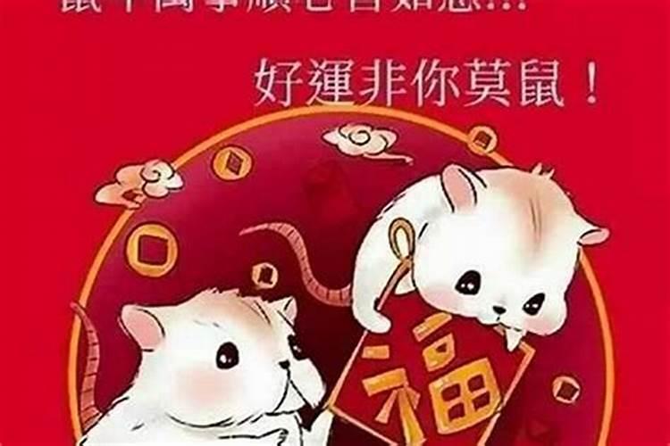 正月初二属鼠财运好吗女孩？