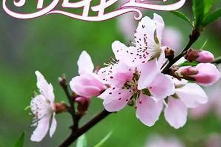 男人如何催旺桃花运？
