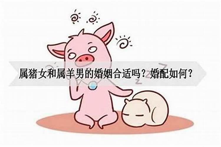 男属羊女合婚相配吗？