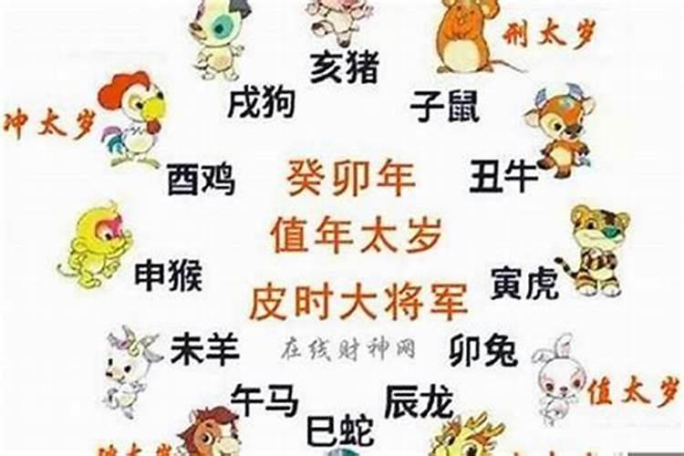 今年本命年多少岁？