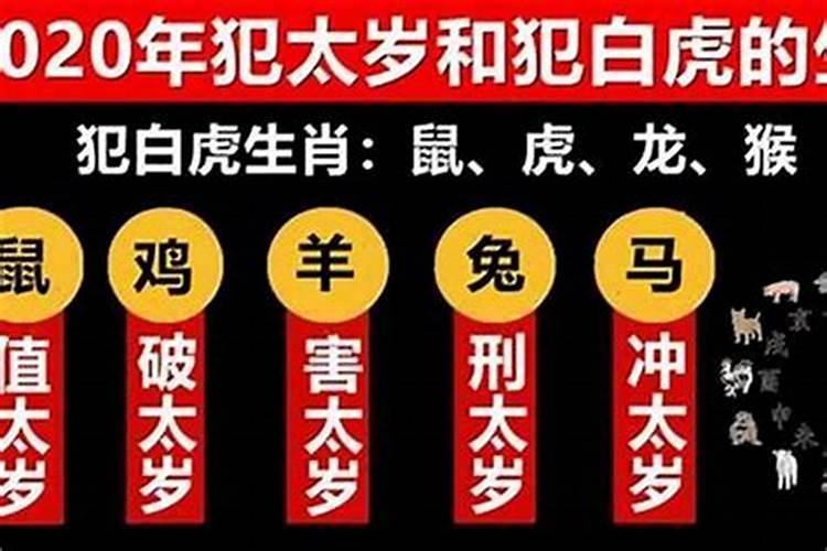 鼠年犯太岁的生肖有哪几个？