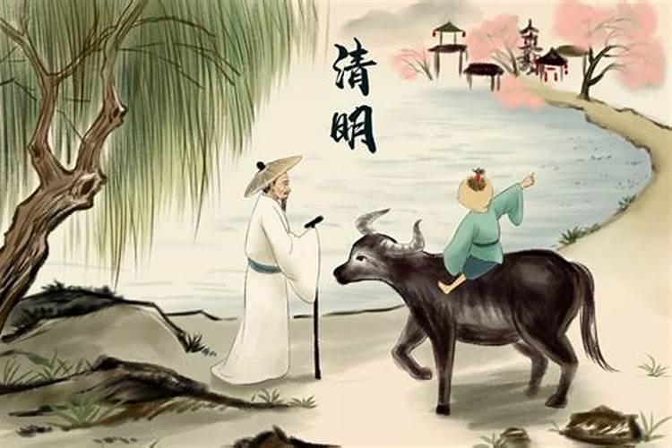 清明节哪种人？