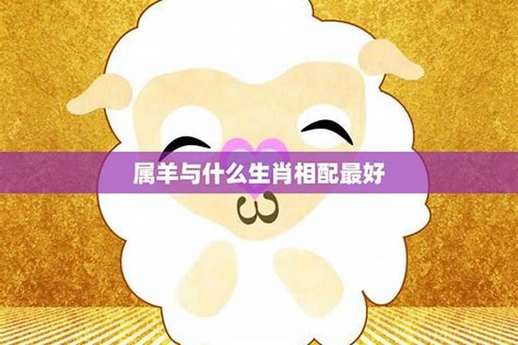 羊的配什么生肖最好？