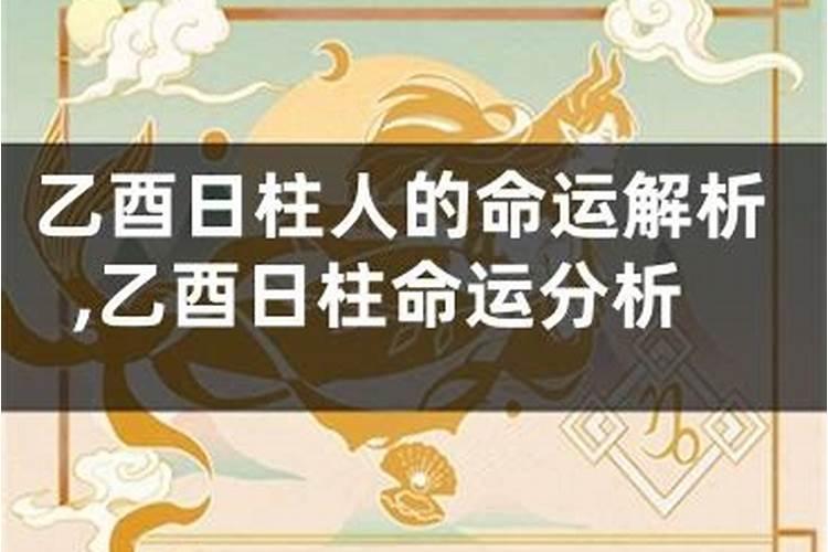 八字乙酉日柱命例